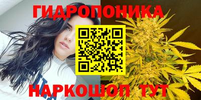 гидропоника Туймазы