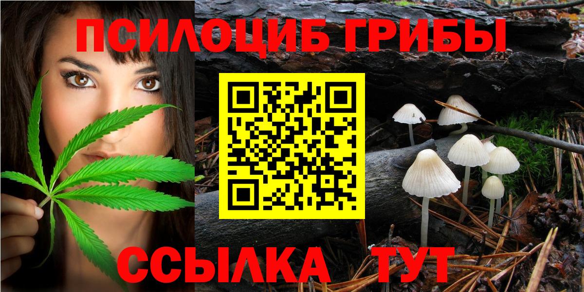 Галлюциногенные грибы Magic Shrooms  Галлюциногенные грибы MAGIC MUSHROOMS  Петрозаводск  продажа наркотиков  Вход с VPN 
